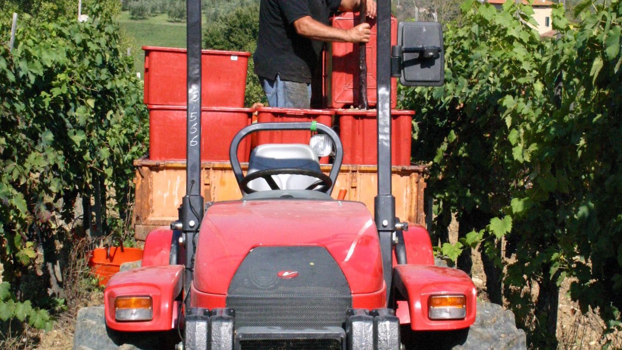 Photo of Outdoor in Chianciano Terme