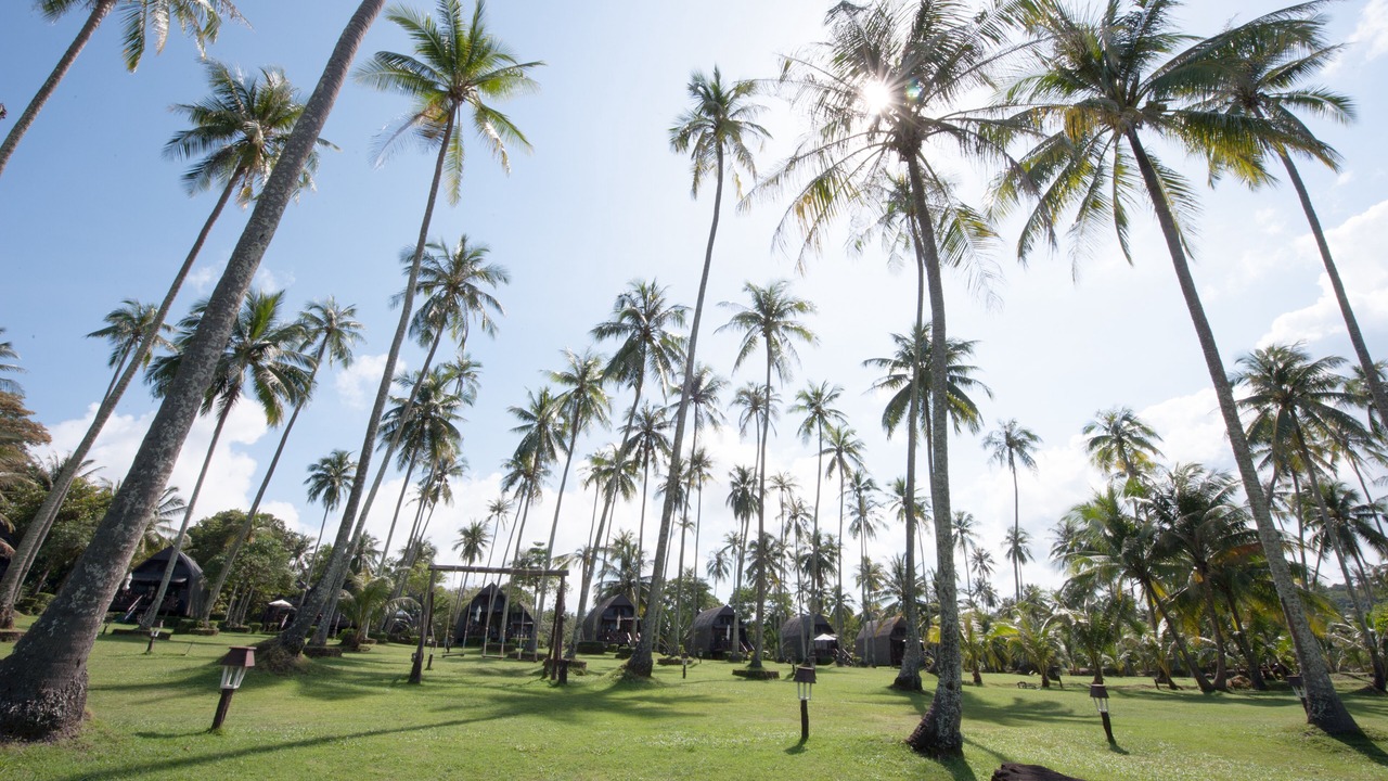 Photo of Outdoor in Ko Kood