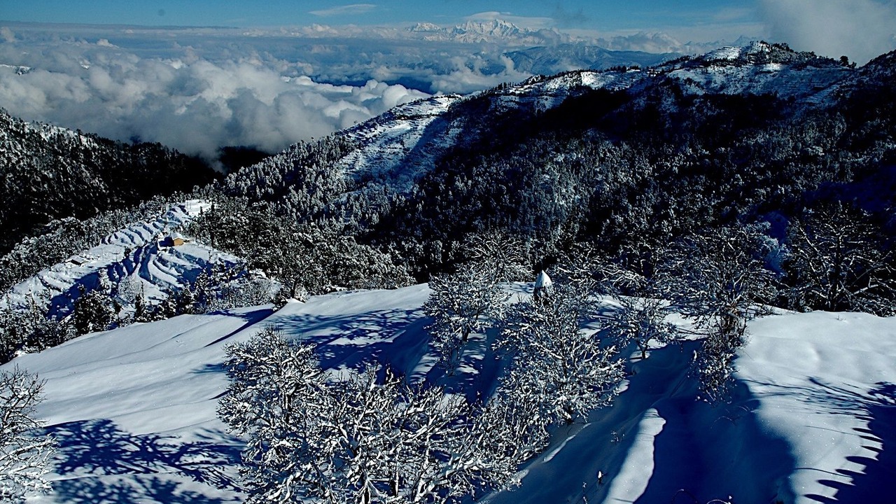 Photo of Others in Kanatal