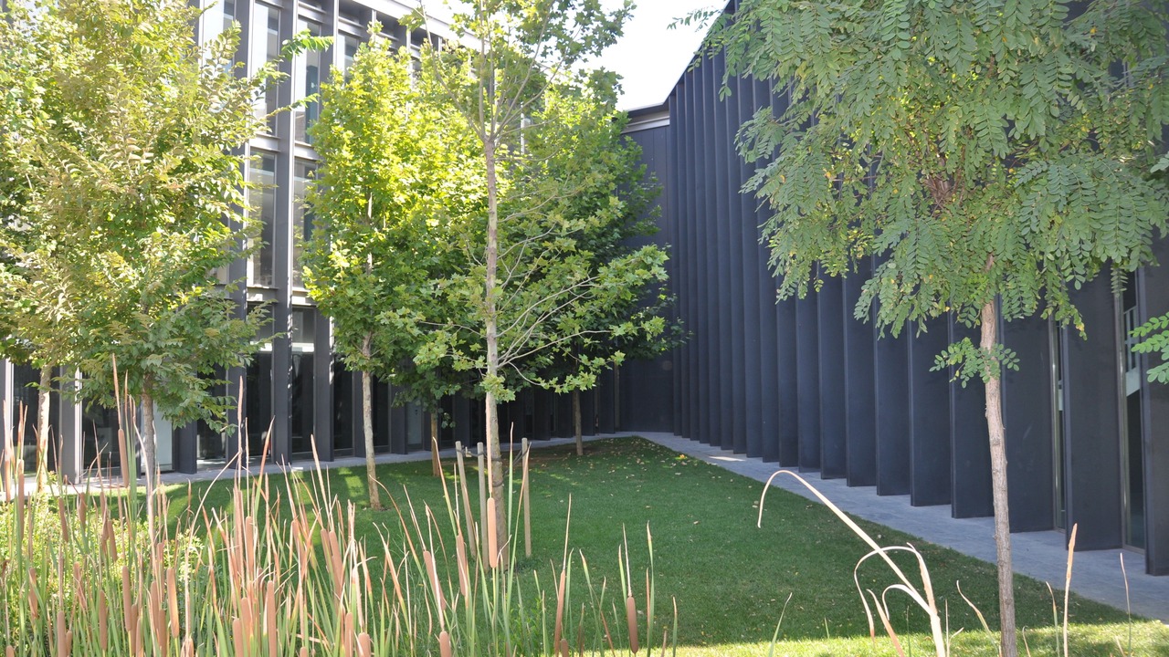 Photo of Outdoor in El Prat de Llobregat