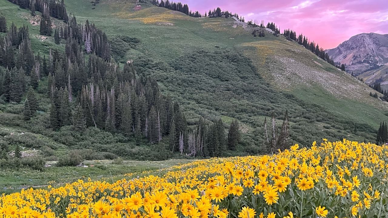 Photo of Outdoor in Salt Lake Mountain Resorts