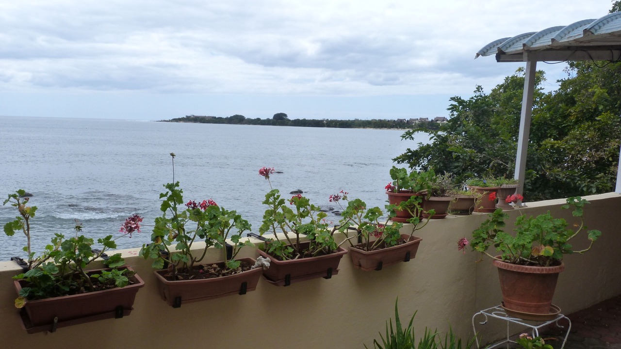 Photo of Outdoor in Tombeau Bay
