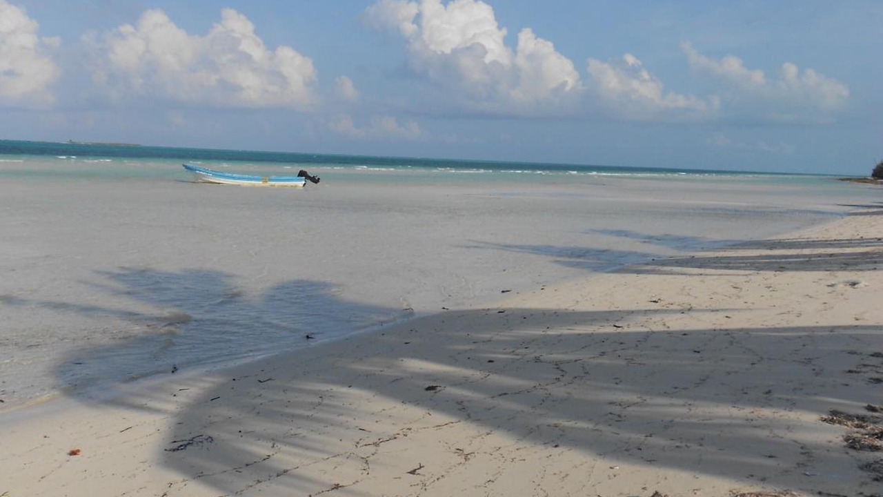 Photo of Others in Kemps Bay