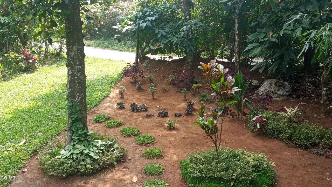 Photo of Others in Vayittiri