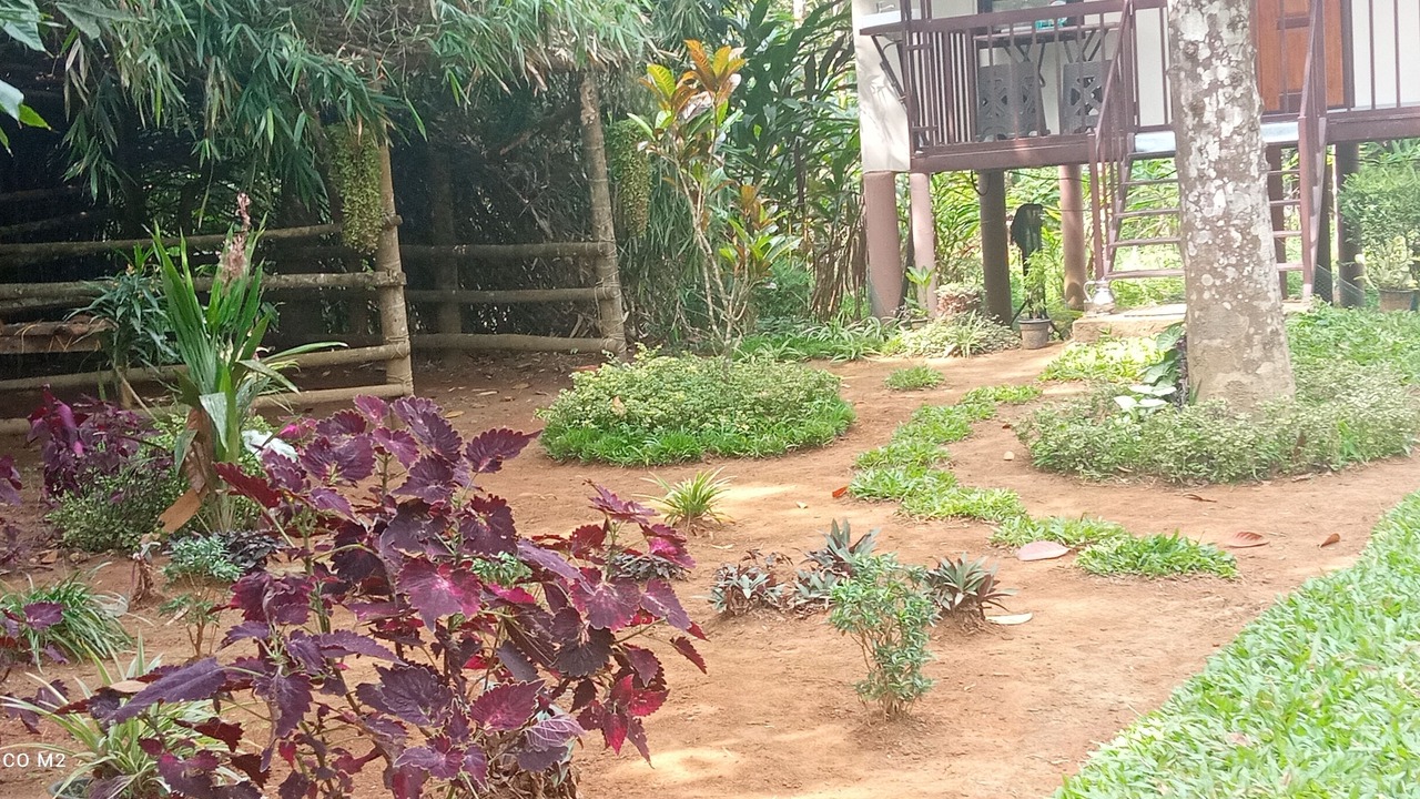 Photo of Buildings in Vayittiri