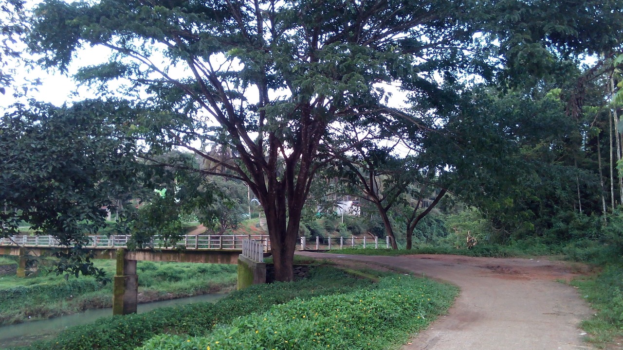 Photo of Outdoor in Vayittiri
