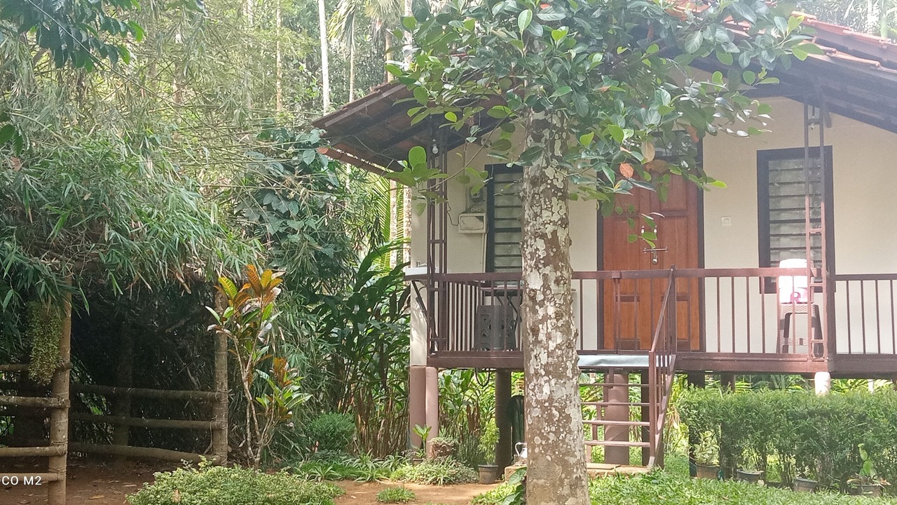 Photo of Patio Balcony in Vayittiri