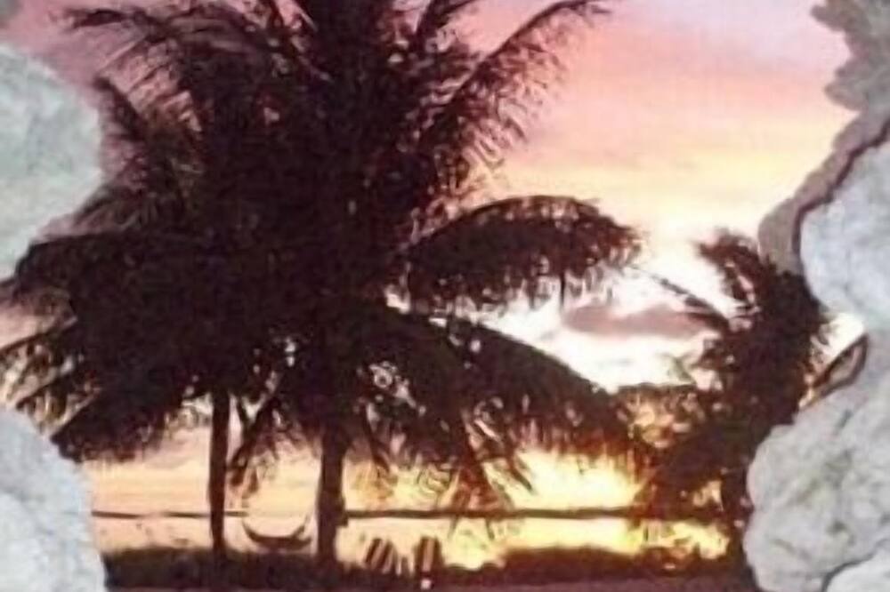 Photo of Others in Big Pine Key