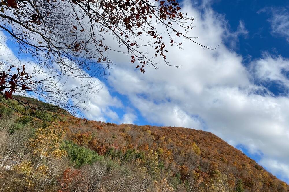 Photo of Others in Blairsville