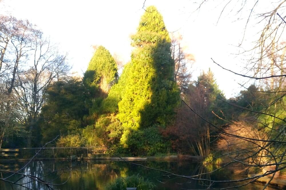 Photo of Outdoor in Campile