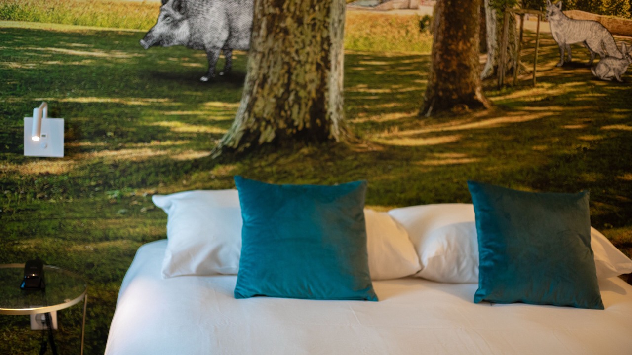 Photo of Bedroom in Contres
