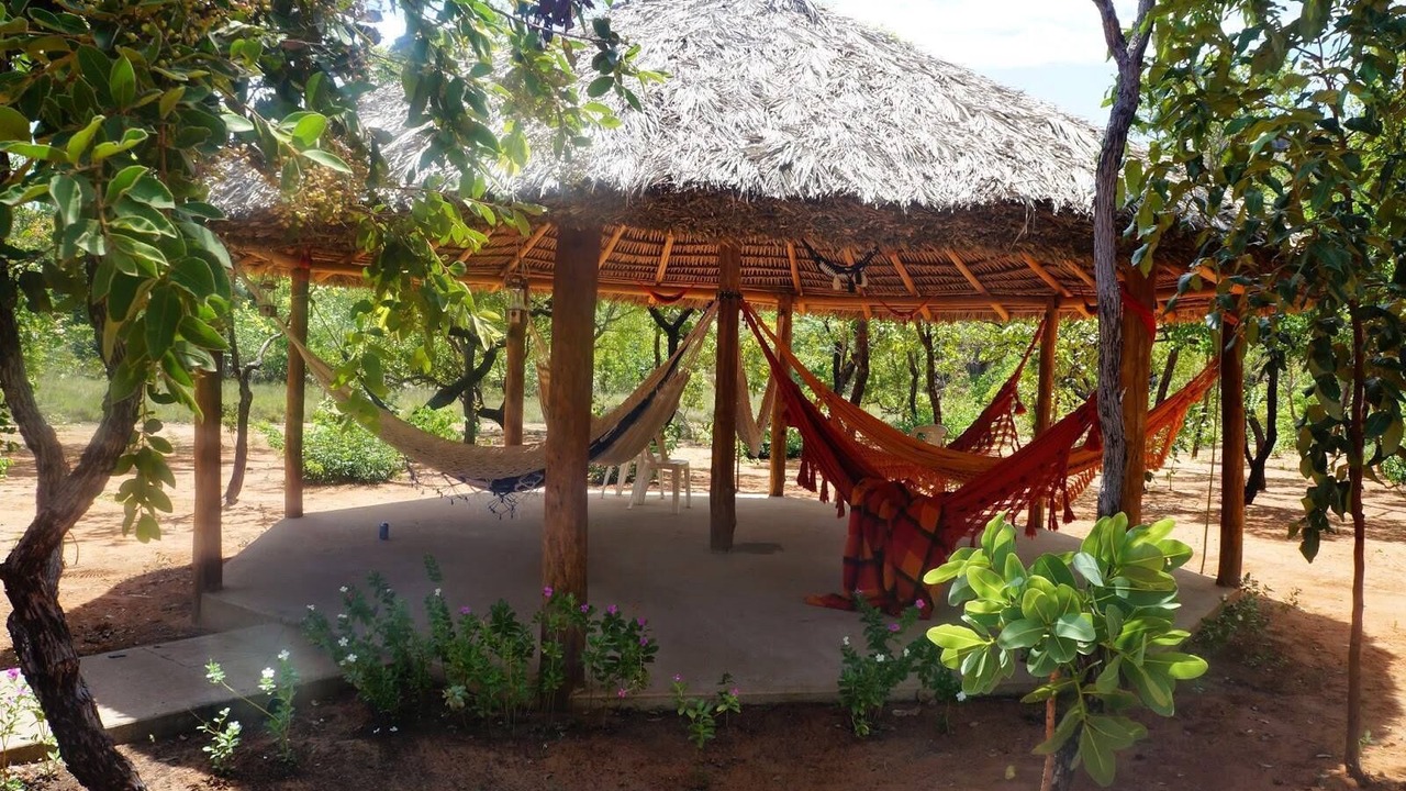 Photo of Others in Sao Felix do Tocantins