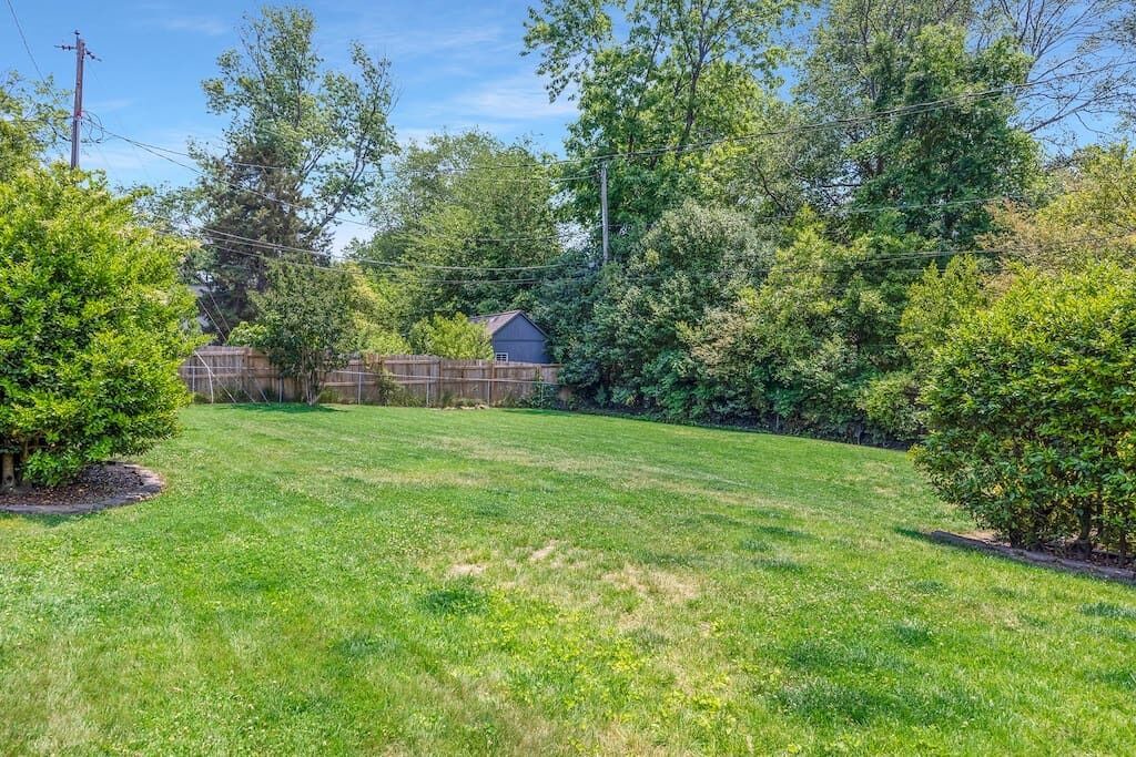 Photo of Outdoor in SouthPark