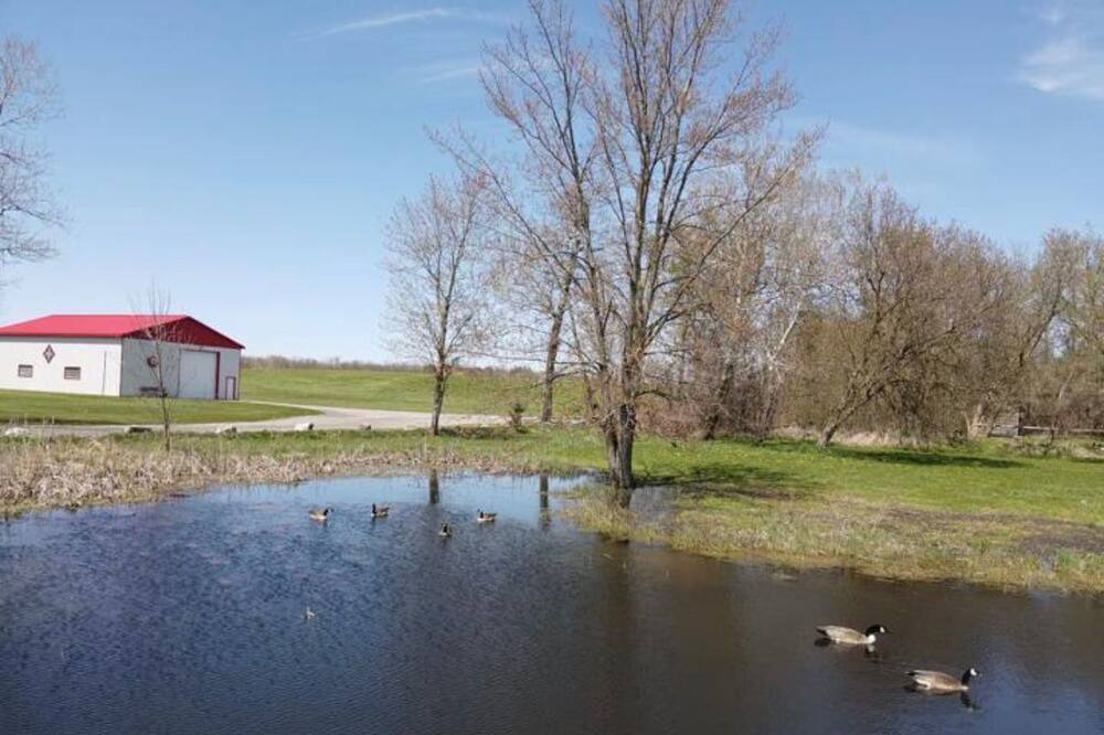 Photo of Outdoor in Hamilton