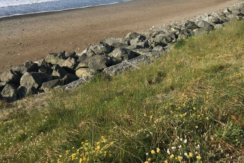 Photo of Others in Bunmahon