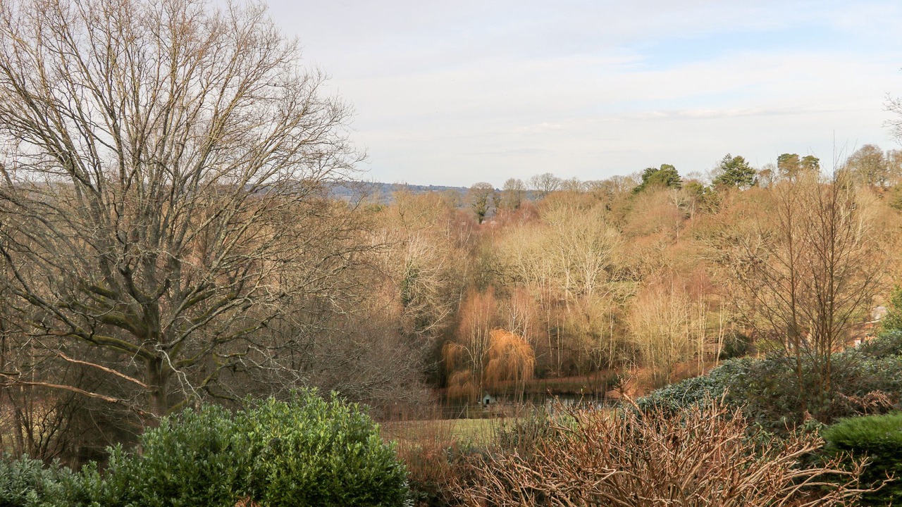Photo of Others in Buxted
