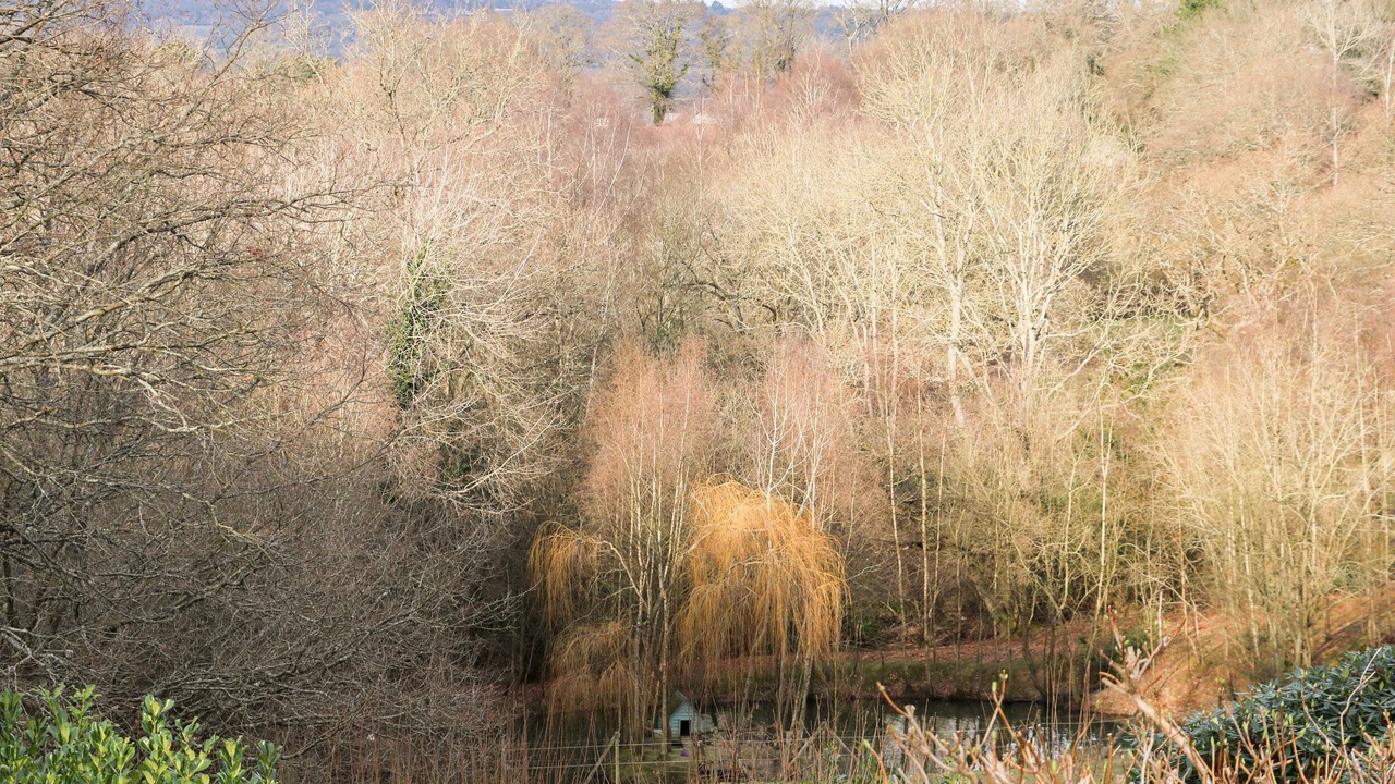 Photo of Others in Buxted