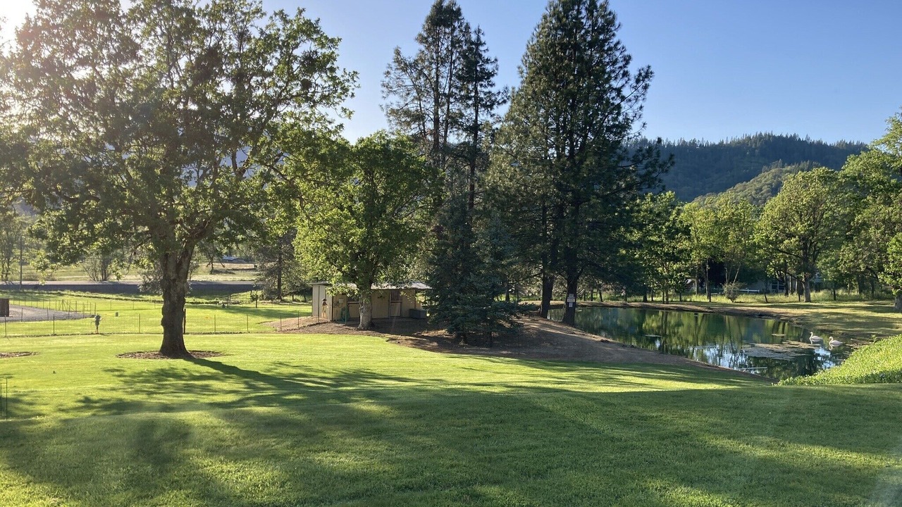 Photo of Outdoor in Rogue River
