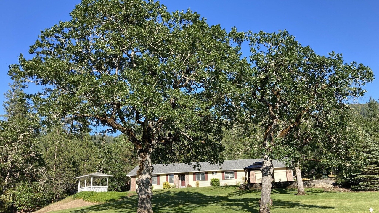 Photo of Outdoor in Rogue River