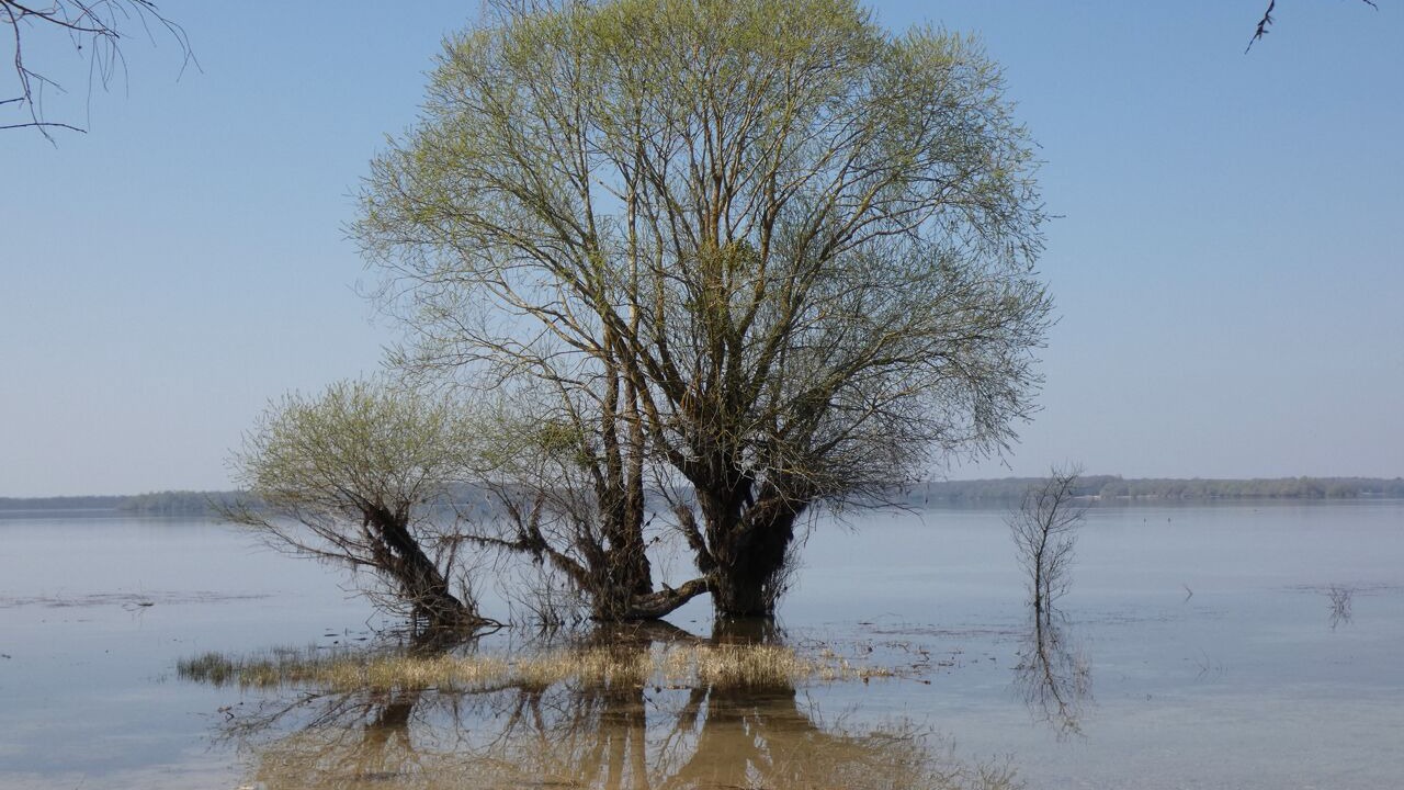 Photo of Others in Lusigny-sur-Barse