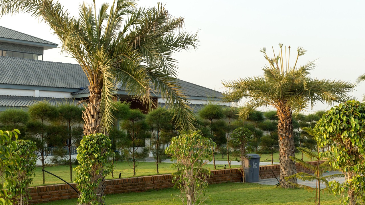 Photo of Outdoor in Manigram
