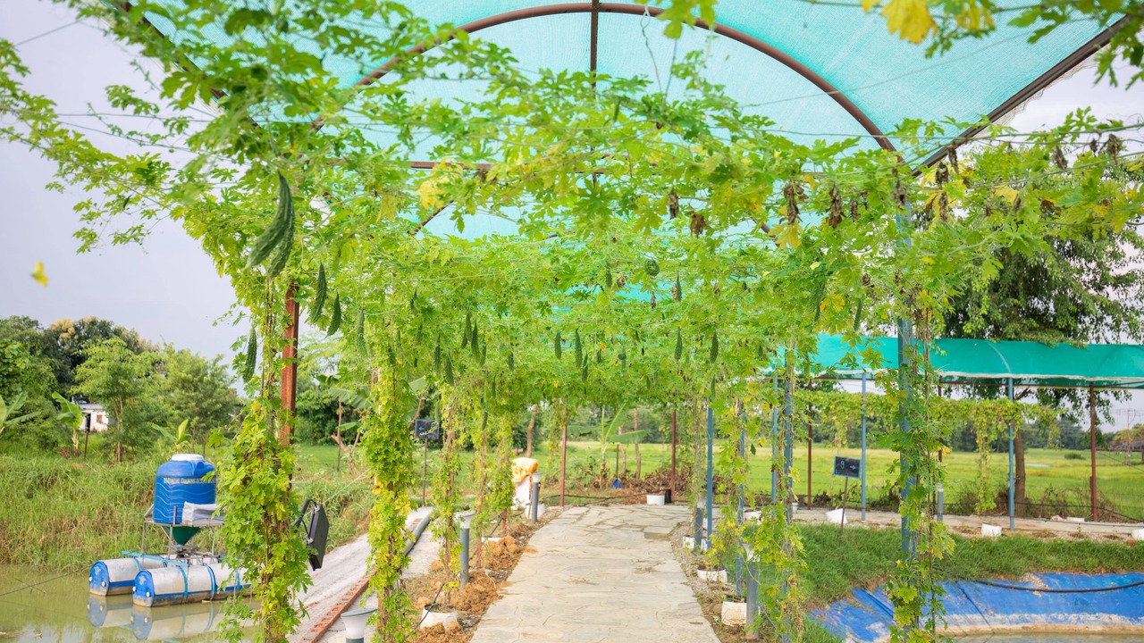 Photo of Outdoor in Manigram