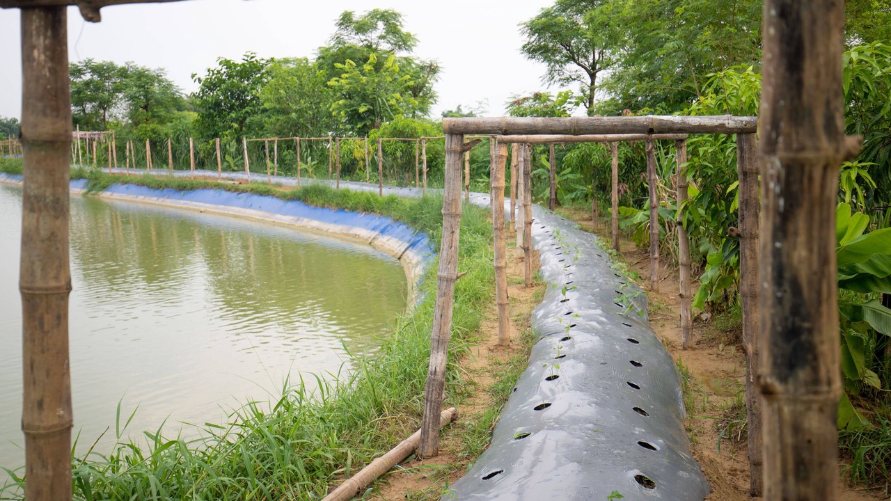 Photo of Outdoor in Manigram
