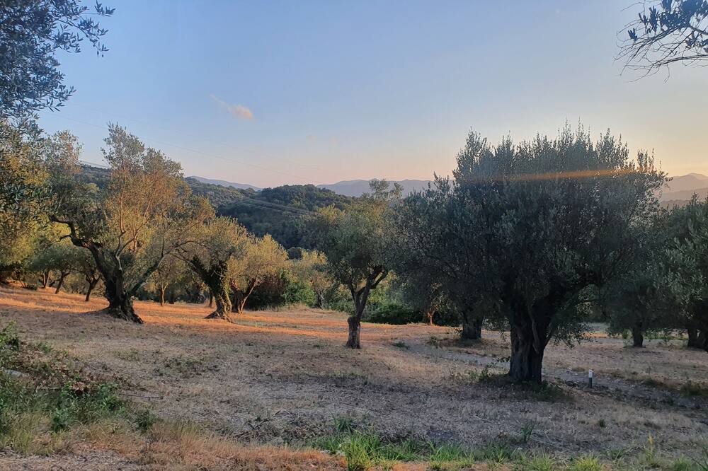 Photo of Outdoor in Melizzano