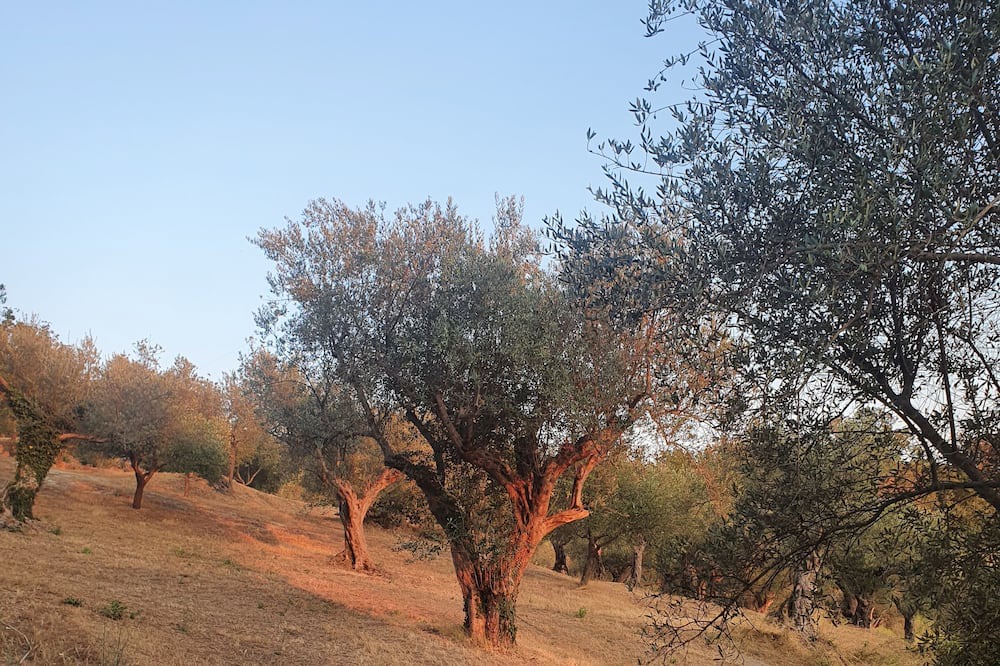Photo of Outdoor in Melizzano