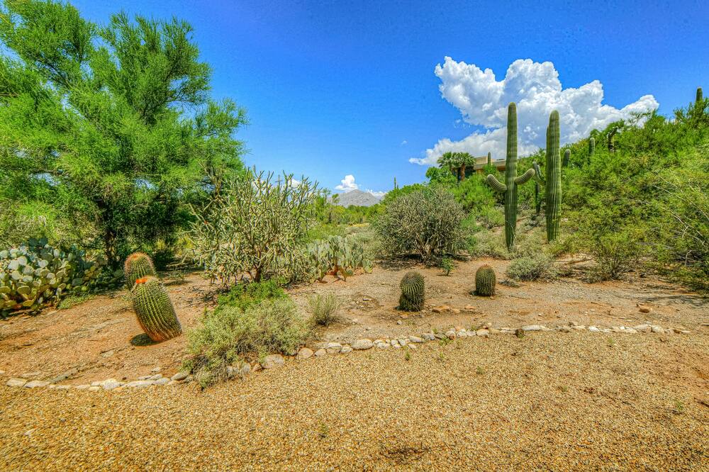 Photo of Others in Catalina Foothills Estates