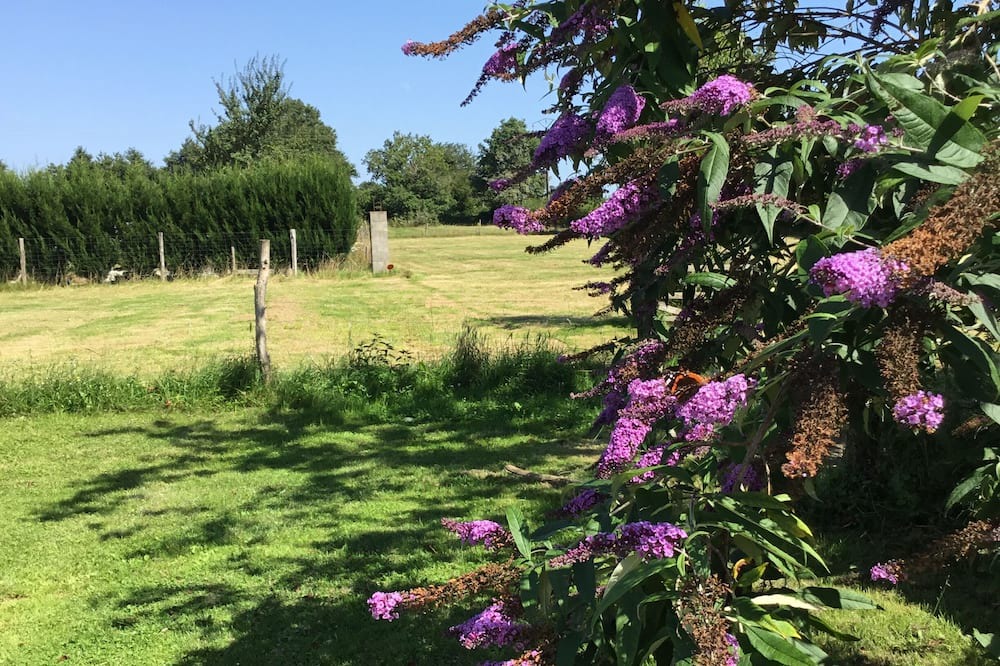 Photo of Outdoor in Millac