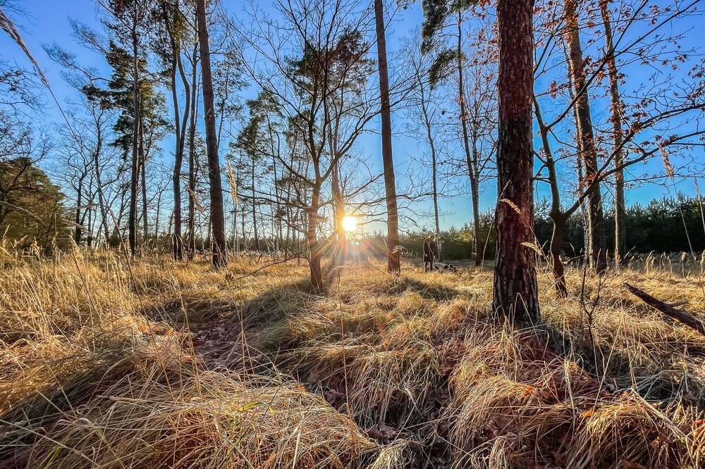 Photo of Outdoor in Bornicke