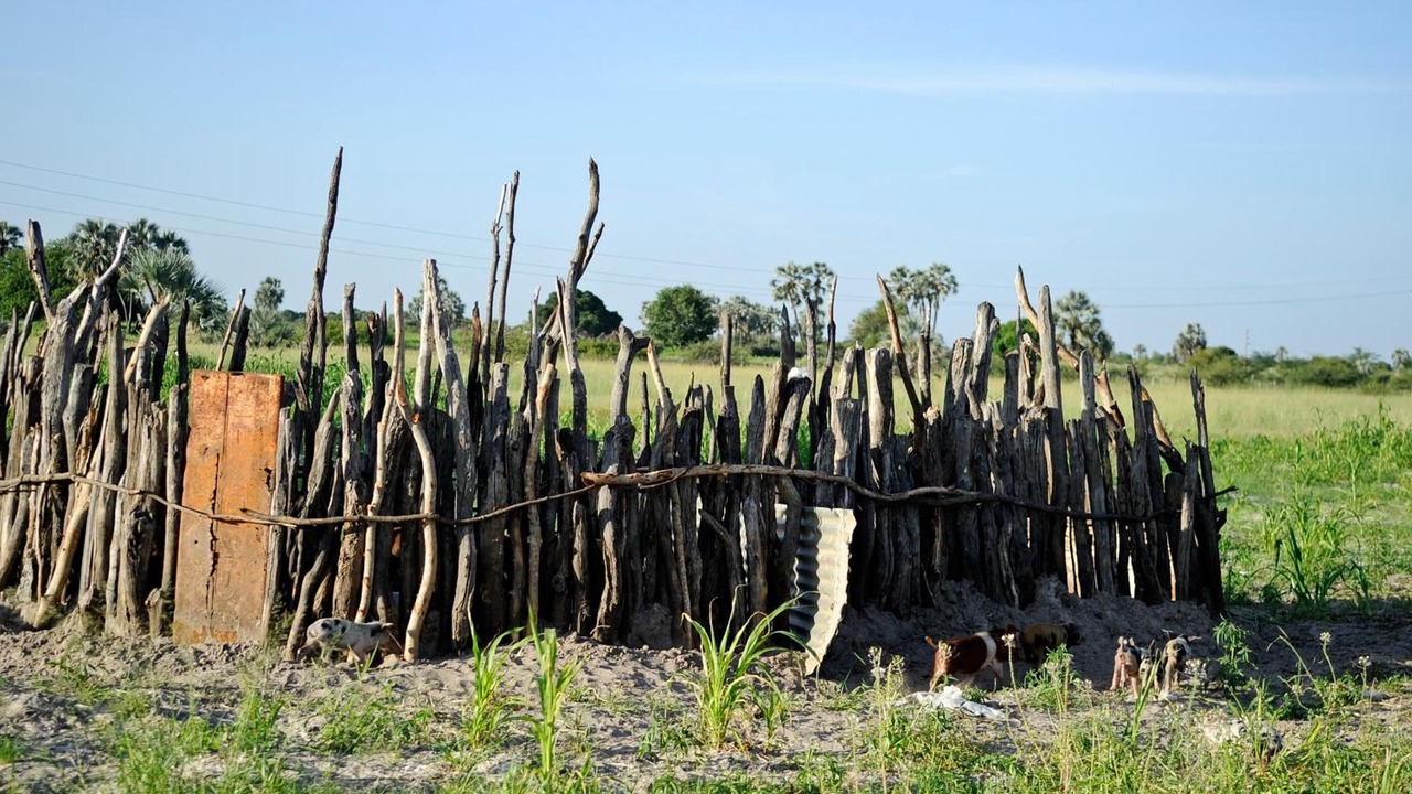 Photo of Outdoor in Ondangwa
