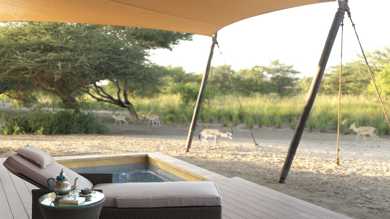 Photo of Bedroom in Sir Bani Yas Island