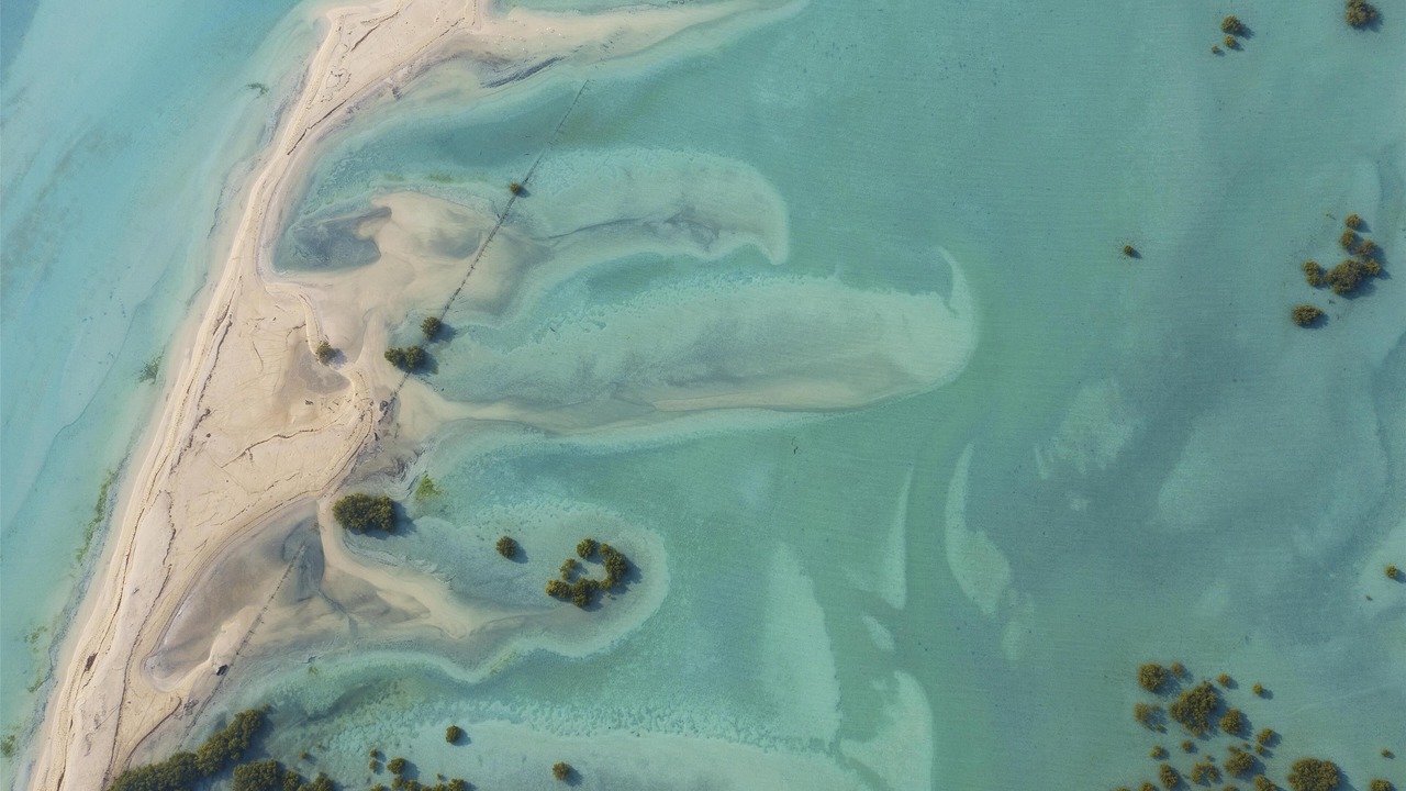 Photo of Outdoor in Sir Bani Yas Island