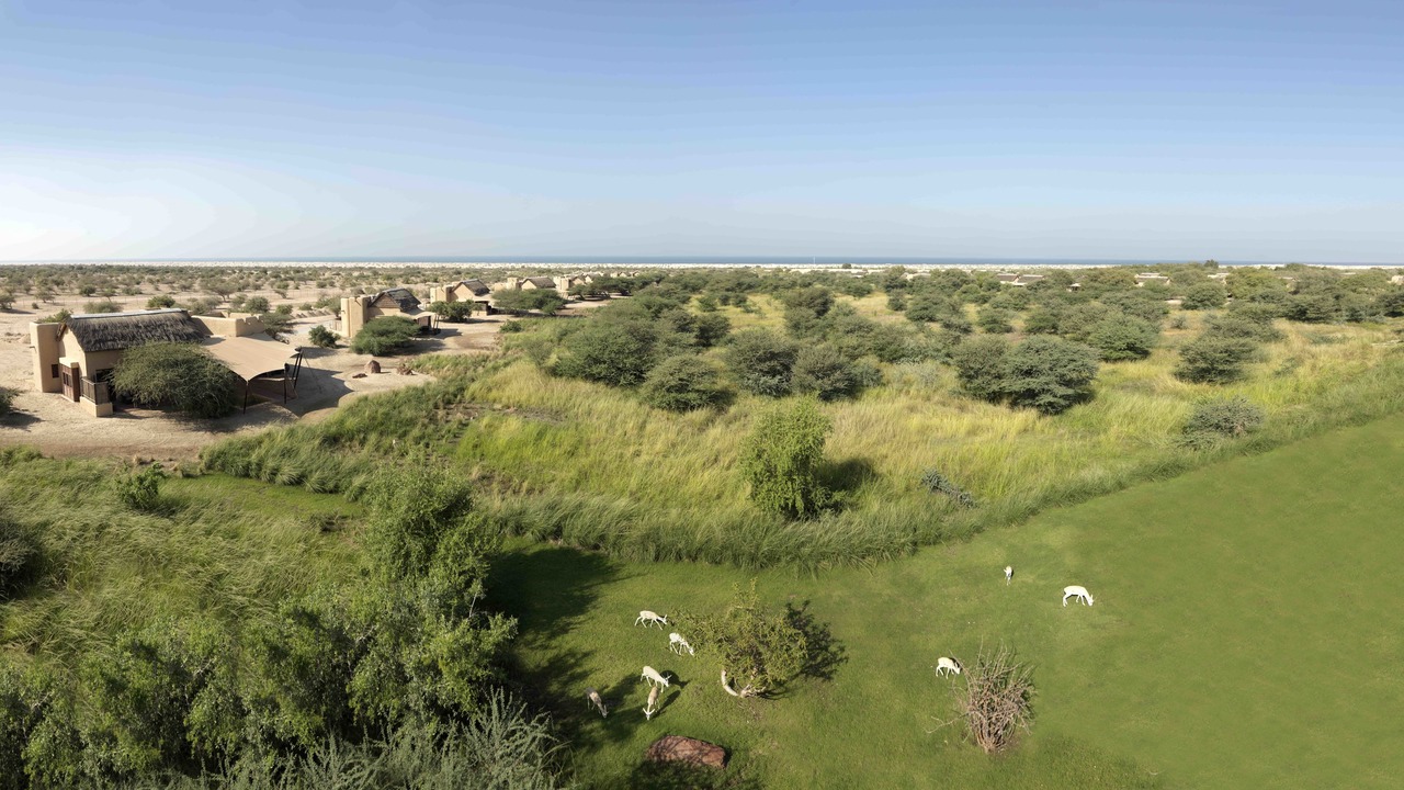 Photo of Outdoor in Sir Bani Yas Island