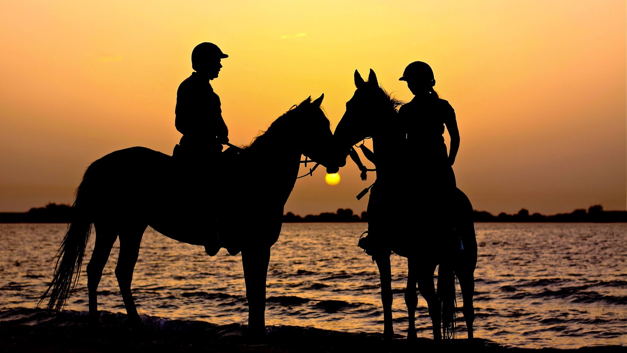 Photo of Others in Sir Bani Yas Island