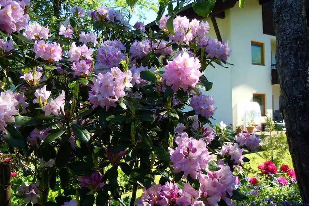 Photo of Outdoor in Tannheim