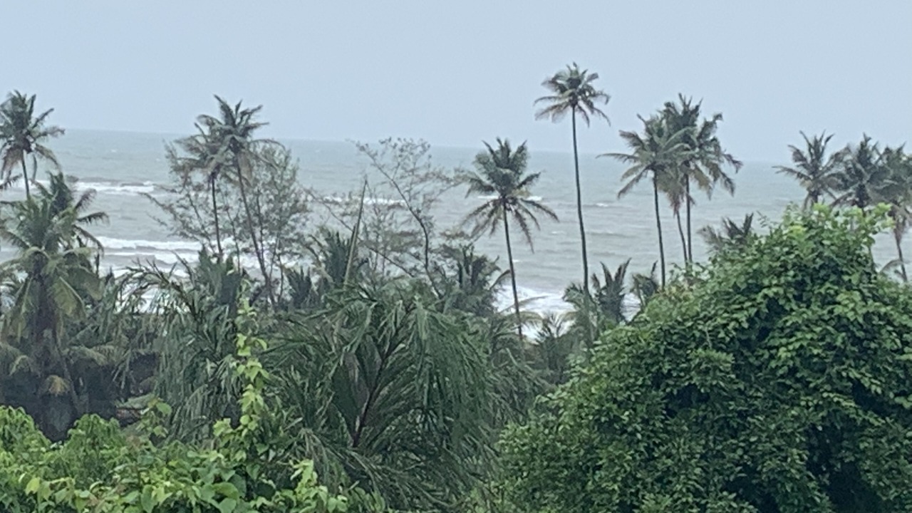 Photo of Others in Ashvem