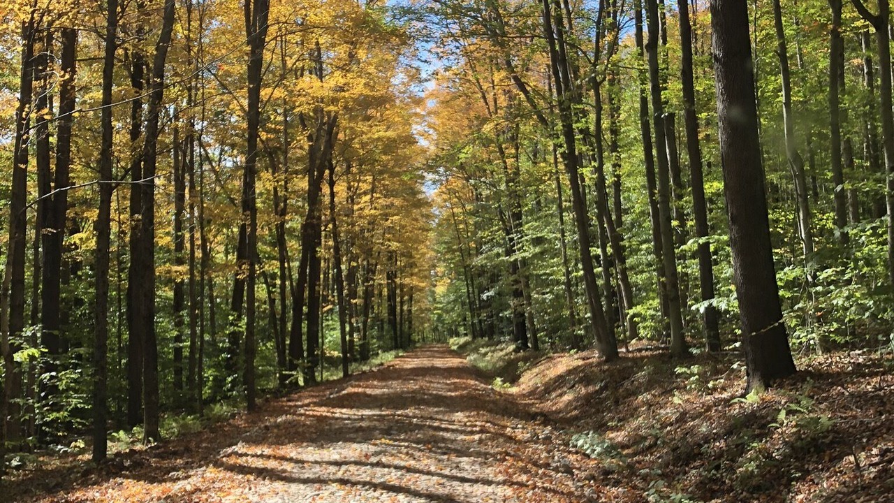 Photo of Outdoor in Ralston
