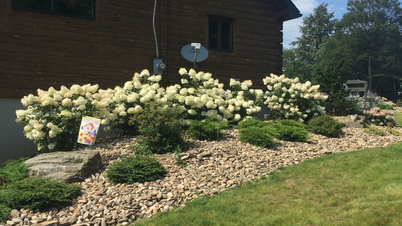 Photo of Outdoor in Ralston