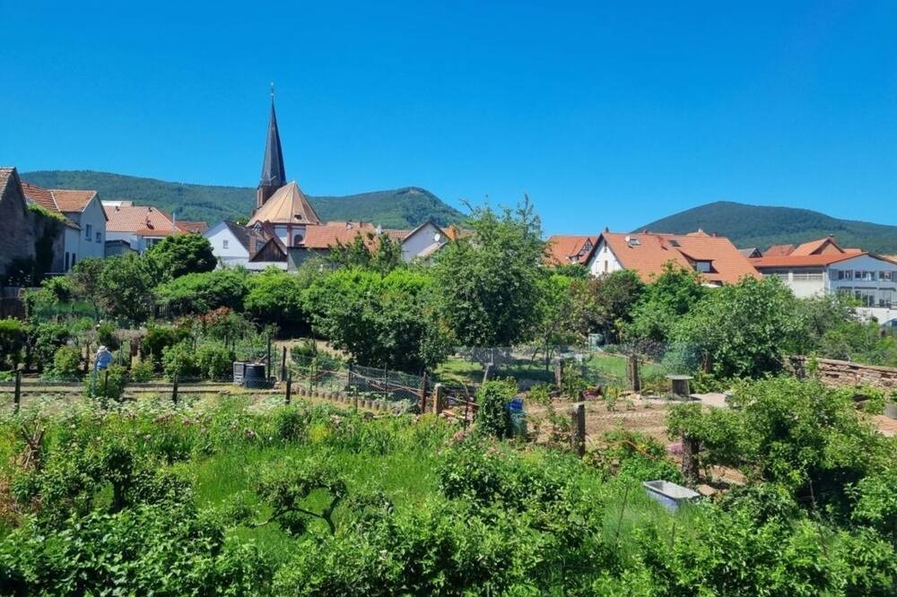 Photo of Outdoor in Rhodt unter Rietburg