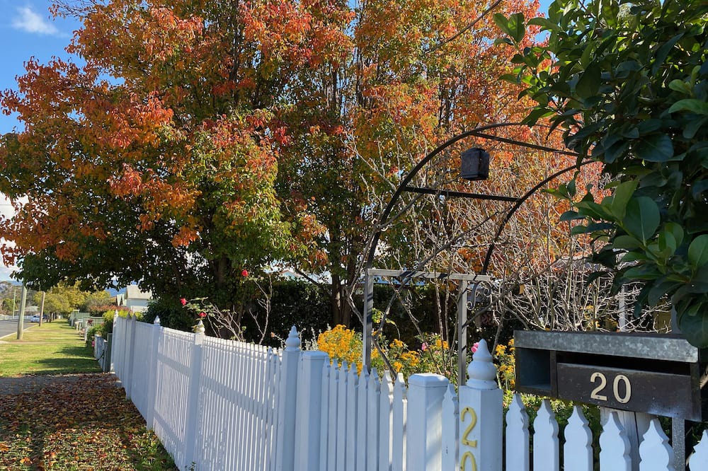 Photo of Outdoor in Scone