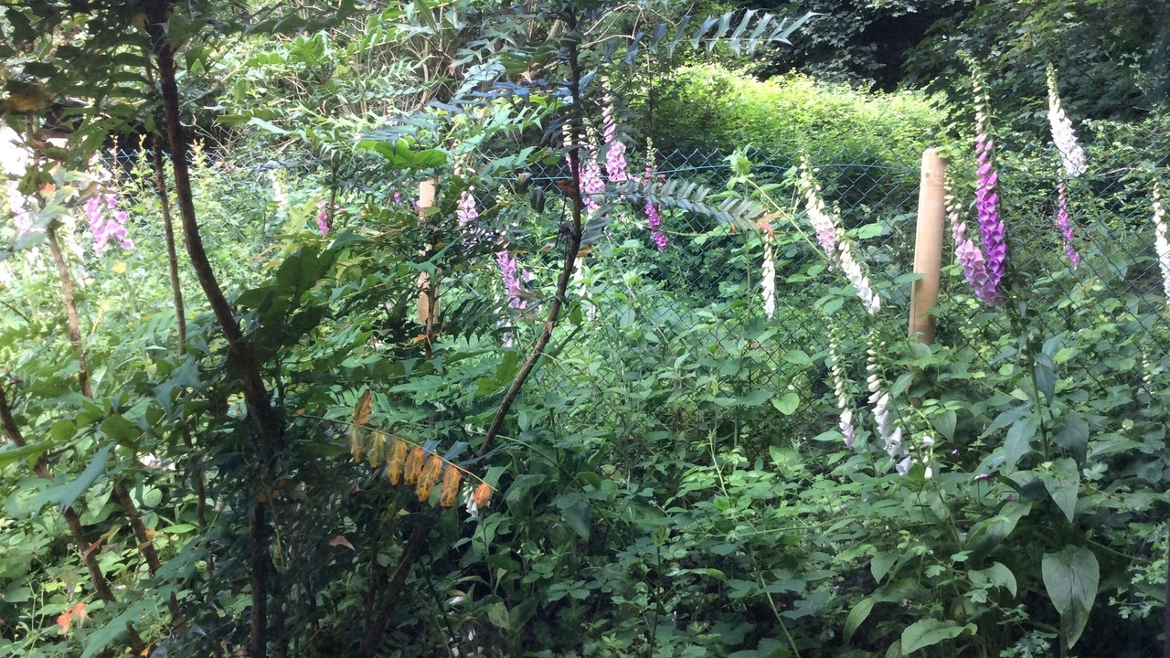 Photo of Outdoor in Great Doddington