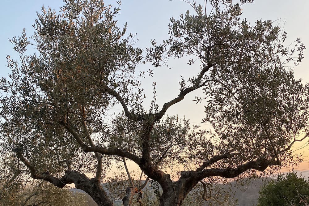 Photo of Outdoor in Melizzano