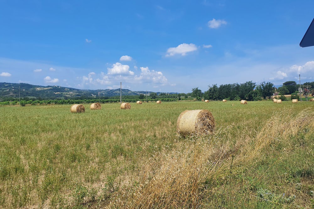 Photo of Outdoor in Melizzano