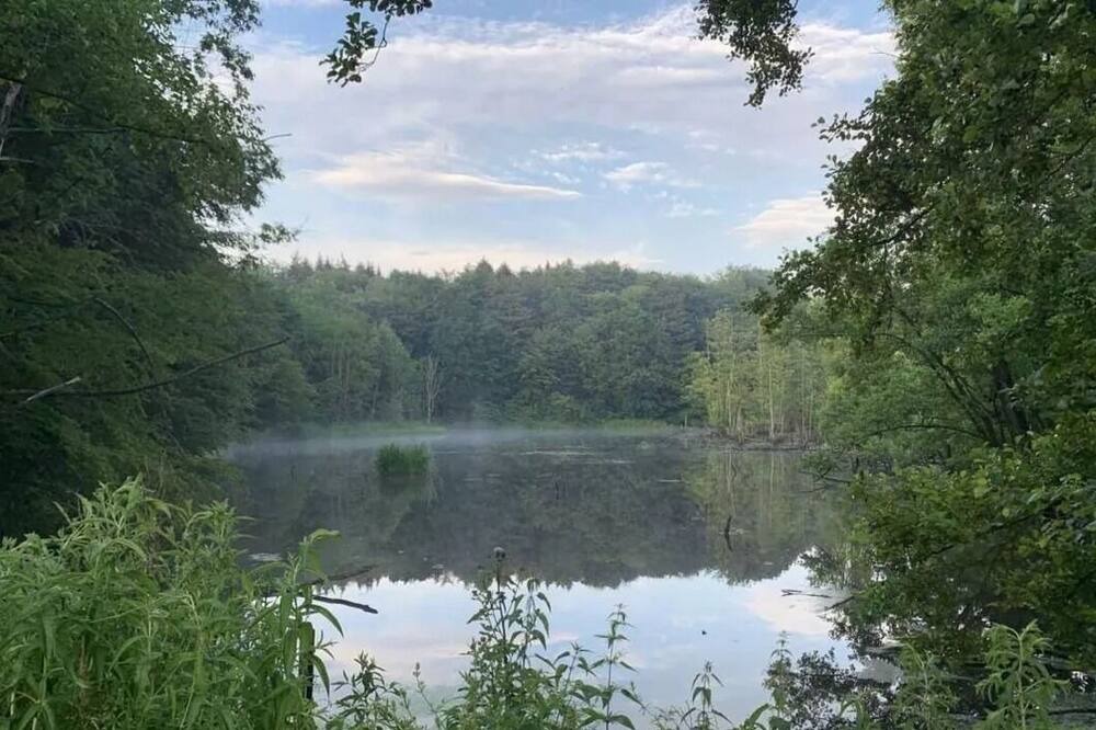 Photo of Outdoor in Ponitz am See
