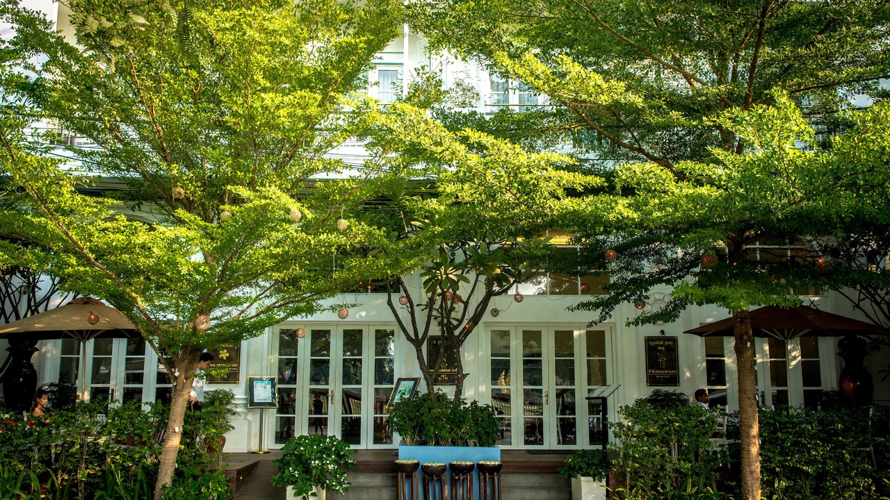 Photo of Outdoor in Daun Penh