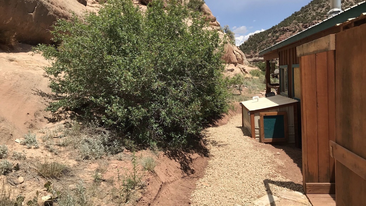 Photo of Outdoor in Monticello