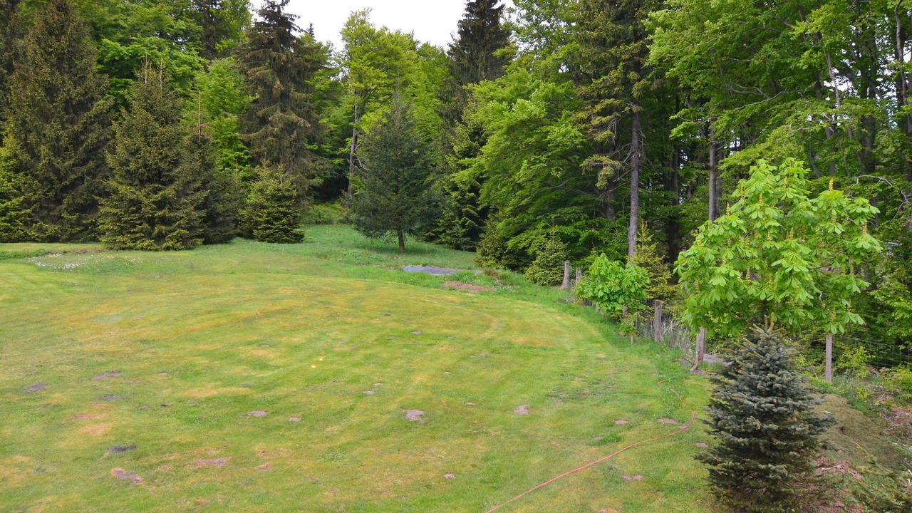 Photo of Outdoor in Tabarz
